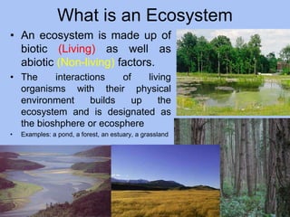 What is an Ecosystem
• An ecosystem is made up of
biotic (Living) as well as
abiotic (Non-living) factors.
• The interactions of living
organisms with their physical
environment builds up the
ecosystem and is designated as
the bioshphere or ecosphere
• Examples: a pond, a forest, an estuary, a grassland
 