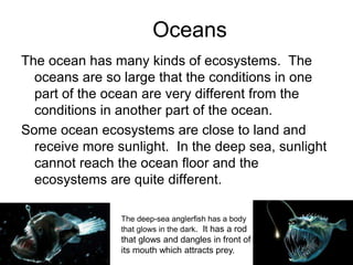 Oceans
The ocean has many kinds of ecosystems. The
oceans are so large that the conditions in one
part of the ocean are very different from the
conditions in another part of the ocean.
Some ocean ecosystems are close to land and
receive more sunlight. In the deep sea, sunlight
cannot reach the ocean floor and the
ecosystems are quite different.
The deep-sea anglerfish has a body
that glows in the dark. It has a rod
that glows and dangles in front of
its mouth which attracts prey.
 