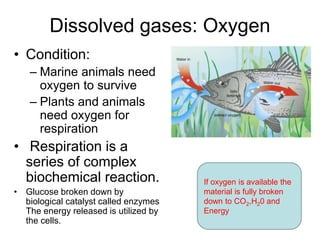 Dissolved gases: Oxygen
• Condition:
– Marine animals need
oxygen to survive
– Plants and animals
need oxygen for
respiration
• Respiration is a
series of complex
biochemical reaction.
• Glucose broken down by
biological catalyst called enzymes
The energy released is utilized by
the cells.
If oxygen is available the
material is fully broken
down to CO2,H20 and
Energy
 