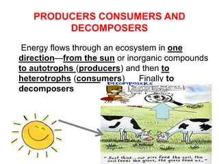 PRODUCERS CONSUMERS AND
DECOMPOSERS
Energy flows through an ecosystem in one
direction—from the sun or inorganic compounds
to autotrophs (producers) and then to
heterotrophs (consumers) Finally to
decomposers
 
