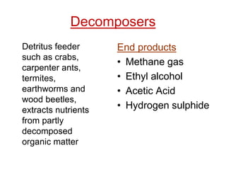 Decomposers
Detritus feeder
such as crabs,
carpenter ants,
termites,
earthworms and
wood beetles,
extracts nutrients
from partly
decomposed
organic matter
End products
• Methane gas
• Ethyl alcohol
• Acetic Acid
• Hydrogen sulphide
 