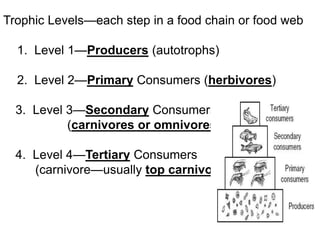 Trophic Levels—each step in a food chain or food web
1. Level 1—Producers (autotrophs)
2. Level 2—Primary Consumers (herbivores)
3. Level 3—Secondary Consumers
(carnivores or omnivores)
4. Level 4—Tertiary Consumers
(carnivore—usually top carnivore)
 