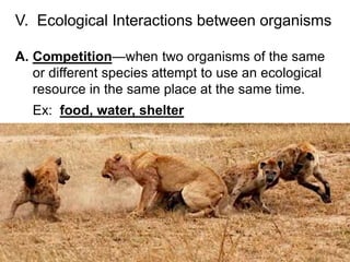V. Ecological Interactions between organisms
A. Competition—when two organisms of the same
or different species attempt to use an ecological
resource in the same place at the same time.
Ex: food, water, shelter
 