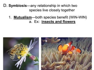 D. Symbiosis—any relationship in which two
species live closely together
1. Mutualism—both species benefit (WIN-WIN)
a. Ex: insects and flowers
 