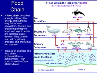 Food
Chain
• A food chain describes
a single pathway that
energy and nutrients
may follow in an
ecosystem. There is one
organism per trophic
level, and trophic levels
are therefore easily
defined. They usually
start with a primary
producer and end with a
top predator.
• Here is an example of a
food chain:
phytoplankton →
zooplankton → fish →
squid → seal → Orca
(Killer whale)
 