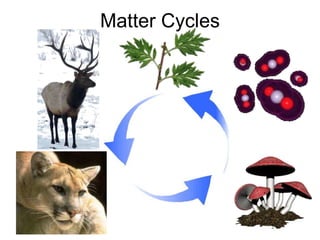 Matter Cycles
 