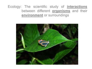 Ecology: The scientific study of interactions
between different organisms and their
environment or surroundings
 