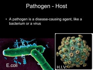 Pathogen - Host
• A pathogen is a disease-causing agent, like a
bacterium or a virus
E.coli H.I.V.
 