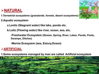 NATURAL
1.Terrestrial ecosystems (grasslands, forests, desert ecosystems)
2.Aquatic ecosystem
a.Lentic (Stagnant water) like lake, ponds etc.
b.Lotic (Flowing water) like river, ocean, sea, etc.
•Freshwater Ecosystem (Stream, Spring, River, Lakes, Ponds, Pools,
Swamps, Ditches)
•Marine Ecosysem (sea, Estury,Ocean)
ARTIFICIAL
1.Some ecosystems managed by man are called Artificial ecosystem
( The crop land, garden, aquarium, park, kitchen garden.)
 