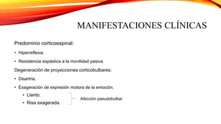 MANIFESTACIONES CLÍNICAS
Predominio corticoespinal:
• Hiperreflexia.
• Resistencia espástica a la movilidad pasiva.
Degeneración de proyecciones corticobulbares:
• Disartria.
• Exageración de expresión motora de la emoción.
• Llanto.
• Risa exagerada.
Afección pseudobulbar
 