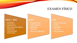 EXAMEN FÍSICO
MNS y MNI
• Debilidad.
• Calambres.
• Dificultad del habla y
deglución.
• Inestabilidad
emocional.
MNS
• Espasticidad.
• Hiperreflexia.
• Debilidad.
• Paresia.
• Signo de Babinski.
MNI
• Fasciculaciones.
• Atrofia.
• Debilidad.
• Paresia.
• Hiporreflexia.
 
