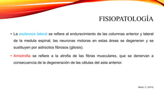 FISIOPATOLOGÍA
• La esclerosis lateral se refiere al endurecimiento de las columnas anterior y lateral
de la medula espinal, las neuronas motoras en estas áreas se degeneran y se
sustituyen por astrocitos fibrosos (gliosis).
• Amiotrofia se refiere a la atrofia de las fibras musculares, que se denervan a
consecuencia de la degeneración de las células del asta anterior.
Muñiz, C. (2015)
 