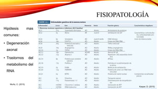 FISIOPATOLOGÍA
Hipótesis mas
comunes:
• Degeneración
axonal
• Trastornos del
metabolismo del
RNA
Muñiz, C. (2015)
Kasper, D. (2015)
 