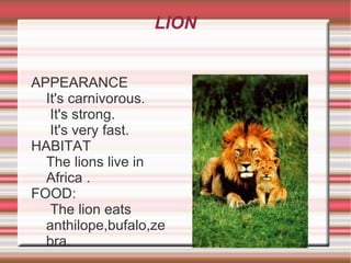 LION ,[object Object]