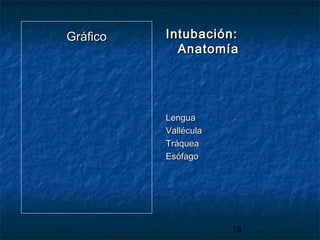 18
GráficoGráfico Intubación:Intubación:
AnatomíaAnatomía
LenguaLengua
ValléculaVallécula
TráqueaTráquea
EsófagoEsófago
 