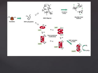 Als presentation | PPT