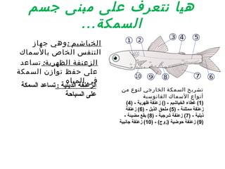 ‫هيا نتعرف على مبنى جسم‬
          ‫السمكة ...‬
     ‫الخياشيم : وهي جهاز‬
 ‫التنفس الخاص بالسماك‬
 ‫الزعنفة الظهرية: تساعد‬
‫على حفظ توازن السمكة‬
                  ‫في المياه‬
 ‫الزعنفة الذيلية : تساعد السمكة‬    ‫تشريح السمكة الخارجي لنوع من‬
                  ‫على السباحة‬              ‫أنواع السماك الفانوسية‬
                                      ‫)1( غطاء الخياشيم - )( زعنفة ظهرية - )4(‬
                                      ‫زعنفة ممتلئة - )5( ملحق الذيل - )6( زعنفة‬
                                     ‫ذيلية - )7( زعنفة شرجية - )8( بقع مضيئة -‬
                                  ‫)9( زعنفة حوضية )زوج( - )01( زعنفة جانبية‬
 