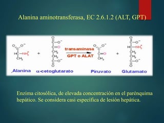 Alt | PPT