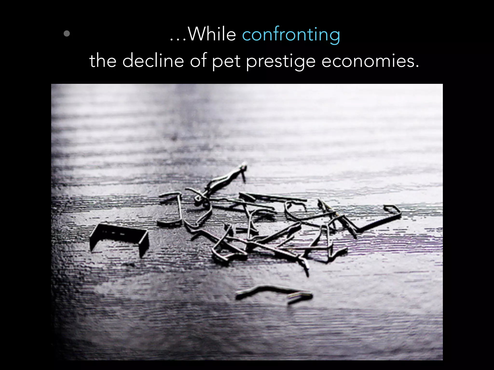 • …While confronting  
the decline of pet prestige economies.
 