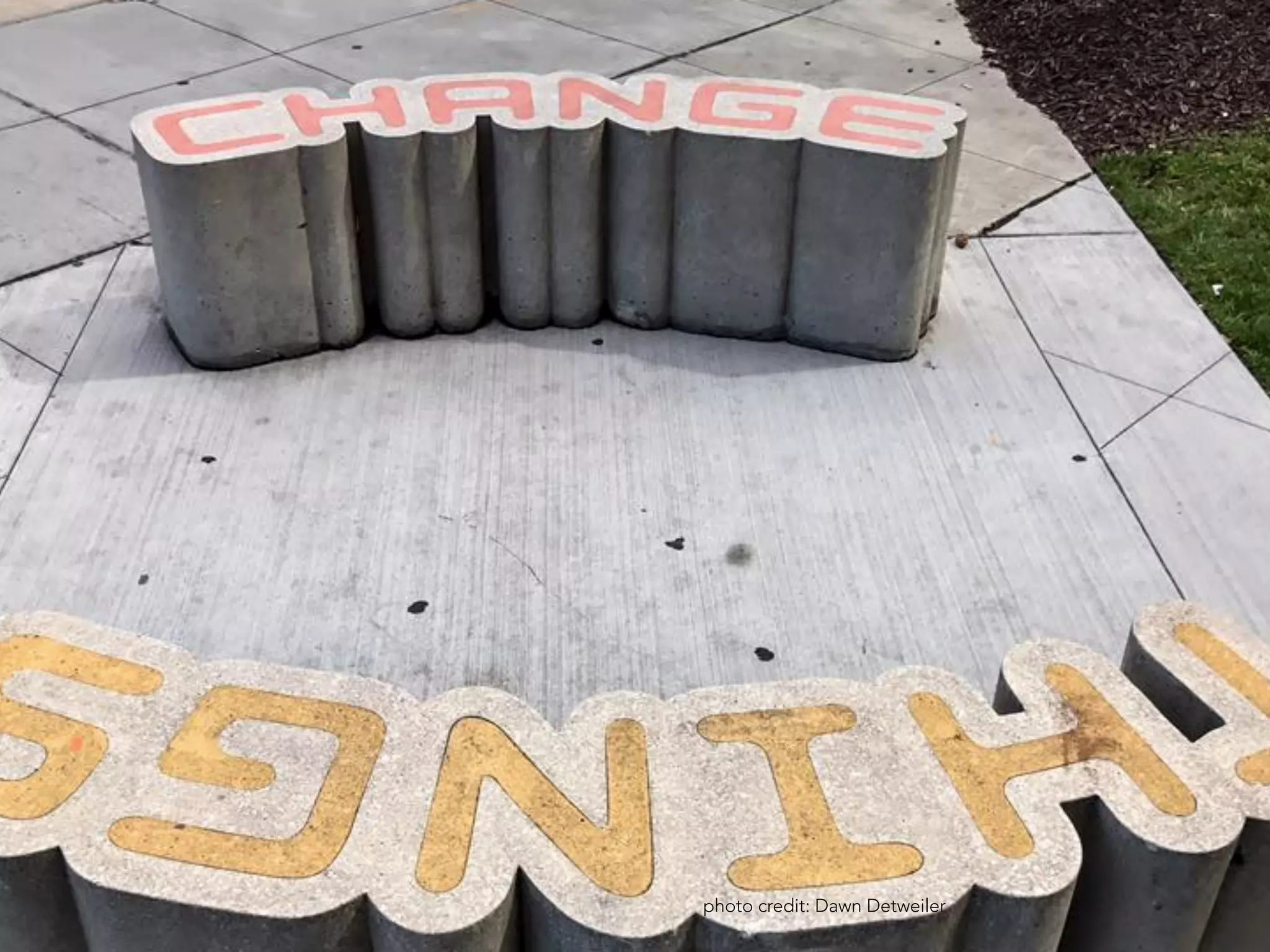 photo credit: Dawn Detweiler
 