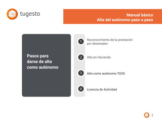 Alta autonomo paso a paso | PDF