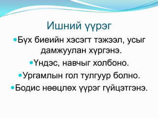 Үндэсний үүрэг 