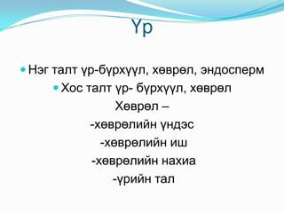 Үндэс, иш, навчны дүрс хувирал 