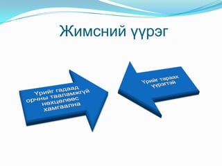Үрийн бүтэц 