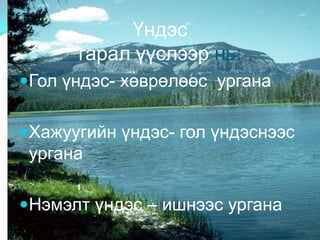 Нэг үйл ажиллагааг хариуцах ижил бүтэцтэй бүлэг эсийг эд гэнэ. Эдүүд нийлж эрхтэн үүсгэнэҮндэс ИшНавчЦэцэгЖимсҮр 