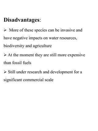 Disadvantages:
 More of these species can be invasive and
have negative impacts on water resources,
biodiversity and agriculture
 At the moment they are still more expensive
than fossil fuels
 Still under research and development for a
significant commercial scale
 