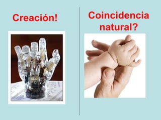 Creación!   Coincidencia
              natural?
 