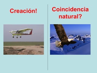 Creación!   Coincidencia
              natural?
 