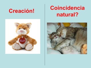 Coincidencia
Creación!
              natural?
 