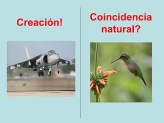 Coincidencia
Creación!
              natural?
 