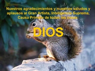 Nuestros agradecimientos y nuestros saludos y
aplausos al Gran Artista, Inteligencia Suprema,
      Causa Primera de todas las cosas:



              DIOS
 