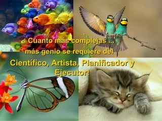 Cuanto más complejas ...
    más genio se requiere del
Científico, Artista, Planificador y
             Ejecutor!
 