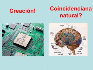 Creación!   Coincidenciana
               natural?
 