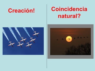 Creación!   Coincidencia
              natural?
 