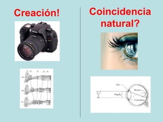 Creación!   Coincidencia
              natural?
 
