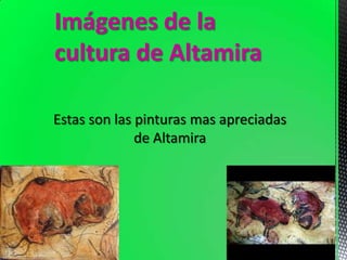 Imágenes de la
cultura de Altamira

Estas son las pinturas mas apreciadas
              de Altamira
 