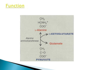 Alt and AST role in liver disorder | PPT