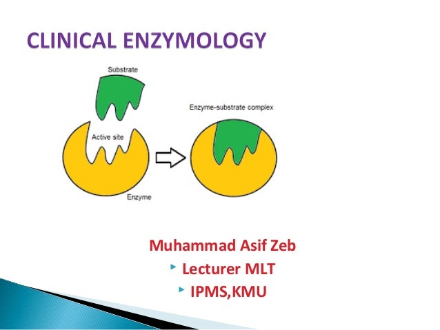 Alt And Ast Role In Liver Disorder