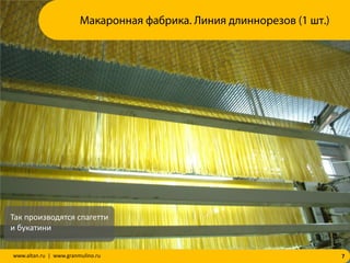 7www.altan.ru | www.granmulino.ru
Так производятся спагетти
и букатини
Макаронная фабрика. Линия длиннорезов (1 шт.)
 