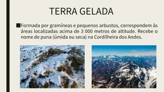 TERRA GELADA
■Formada por gramíneas e pequenos arbustos, correspondem às
áreas localizadas acima de 3 000 metros de altitude. Recebe o
nome de puna (úmida ou seca) na Cordilheira dos Andes.
 