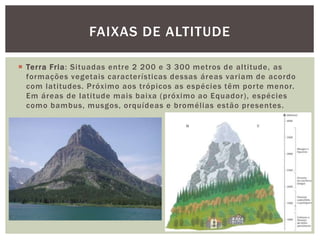  Terra Fria: Situadas entre 2 200 e 3 300 metros de altitude, as
formações vegetais características dessas áreas variam de acordo
com latitudes. Próximo aos trópicos as espécies têm porte menor.
Em áreas de latitude mais baixa (próximo ao Equador), espécies
como bambus, musgos, orquídeas e bromélias estão presentes.
FAIXAS DE ALTITUDE
 