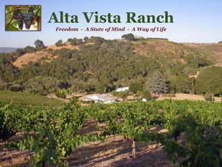Alta Vista Ranch   Freedom  -  A State of Mind  -  A Way of Life 