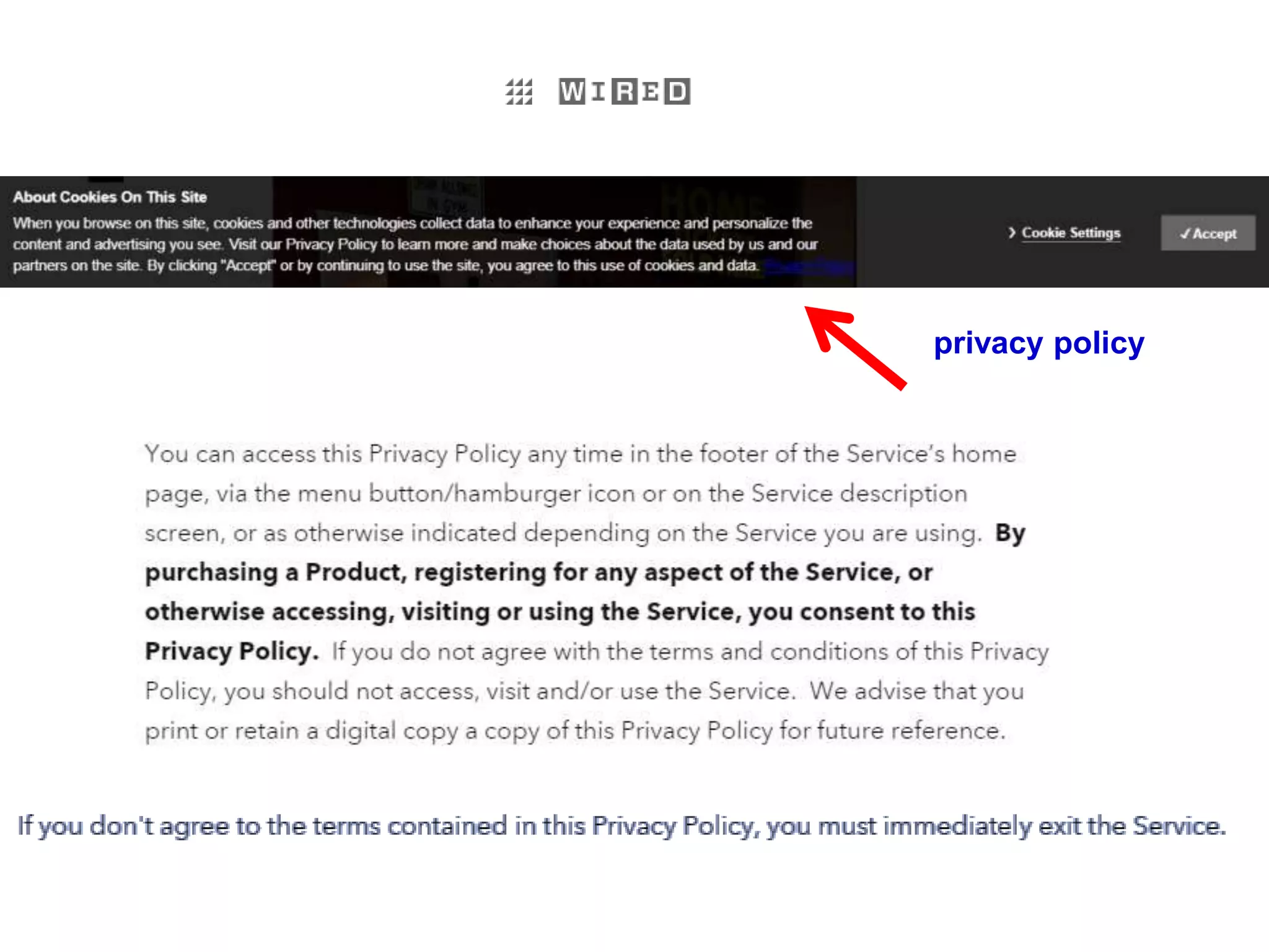 privacy policy
 