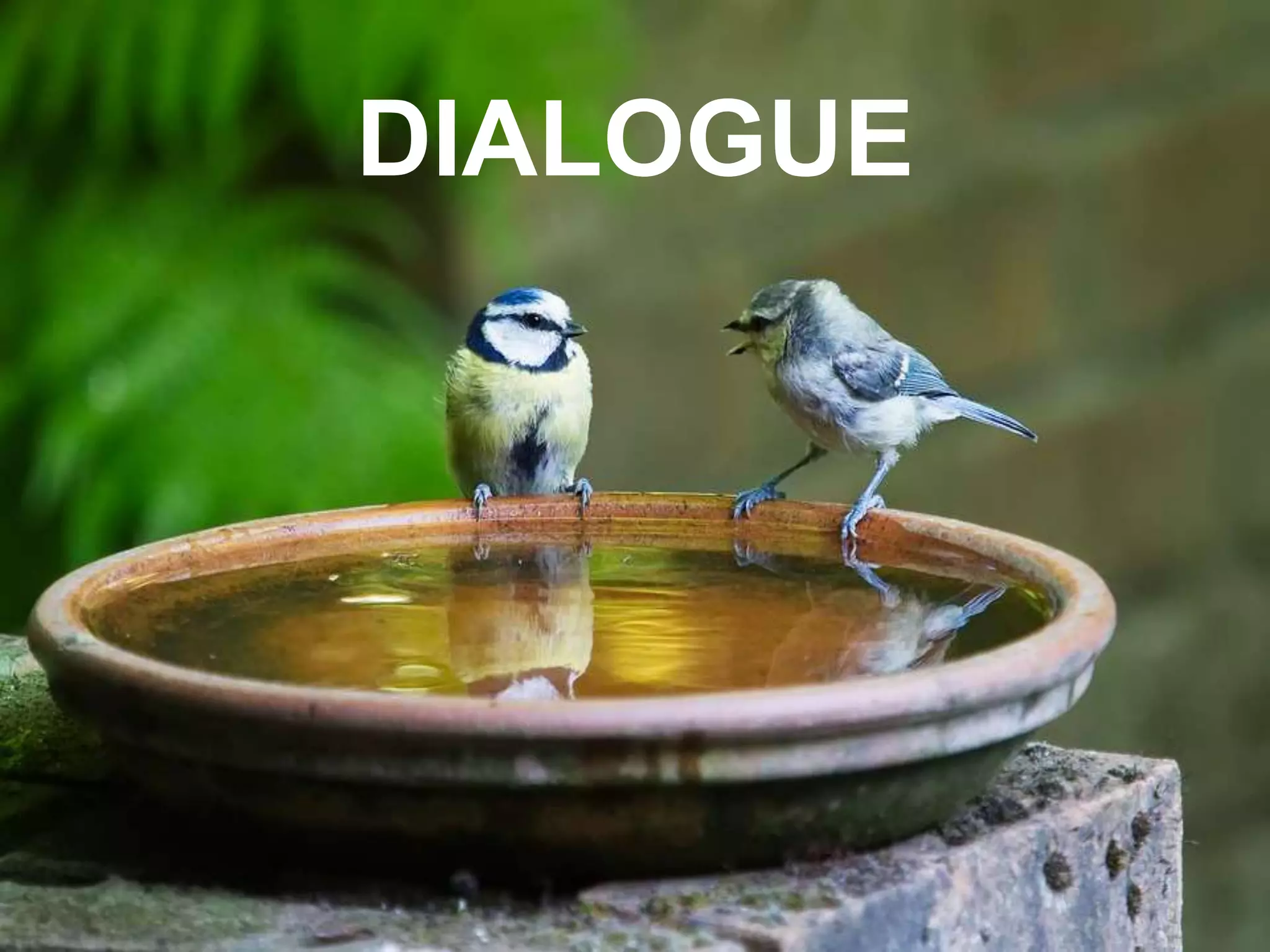 DIALOGUE
 