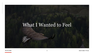 R A I Z L A B S 3 S E C T I O N T I T L E
What I Wanted to Feel
 