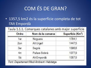 COM ÉS DE GRAN?
• 1357,5 km2 és la superfície completa de tot
l’Alt Empordà
 